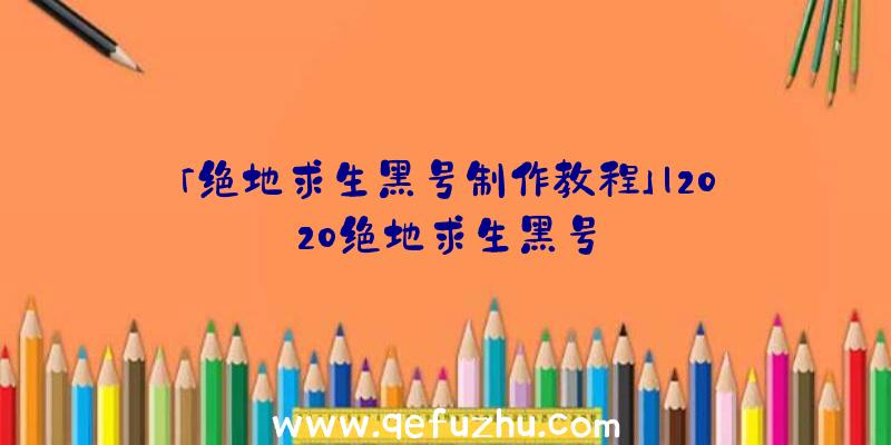 「绝地求生黑号制作教程」|2020绝地求生黑号